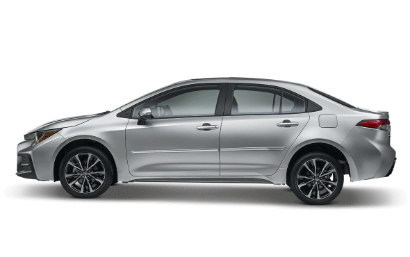 corolla-lateral